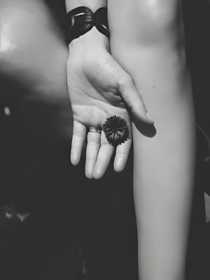 Click to view full size image
==============
03.jpg 03.jpg