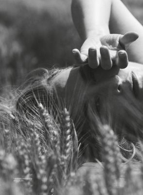 Click to view full size image
==============
05.jpg 05.jpg